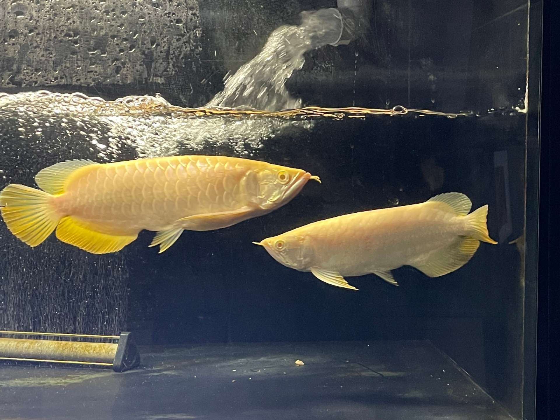 Instagramはじめました